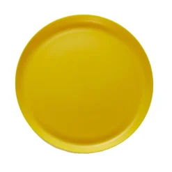 ASSIETTE RÉUTILISABLE 25CM
