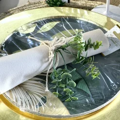 10 ASSIETTES ANNIVERSAIRE JUNGLE 22.5CM VERT