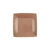 10 ASSIETTES CARTON BIO CARRÉES 18CM BRONZE