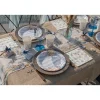 10 ASSIETTES CARTON COQUILLAGE 22.5CM BLEU BLANC
