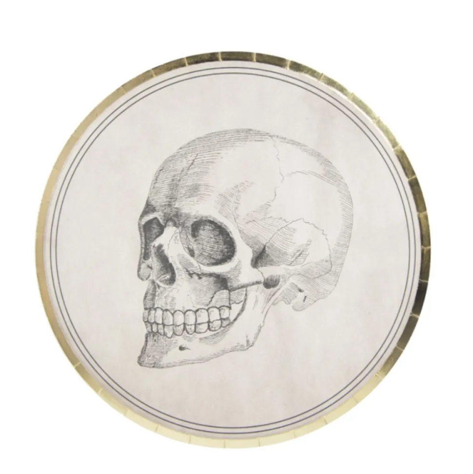 8 ASSIETTES CARTON ROND CRÂNE 22CM