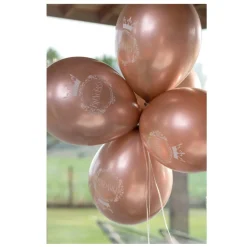 6 BALLONS LATEX PRINCESSE Ø30CM ROSE GOLD