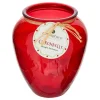 BOUGIE PARFUMÉE VERRE FRUIT CITRONNELLE 550G 40H