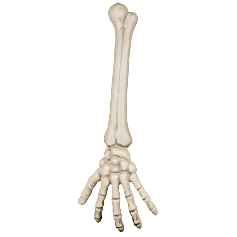 BRAS DE SQUELETTE 46 CM