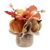 DÉCORATION CITROUILLES SAC JUTE 17CM ORANGE