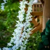 DESCENTE BRANCHE LYS ARTIFICIEL 1.65M BLANC