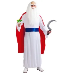 DÉGUISEMENT DRUIDE HOMME