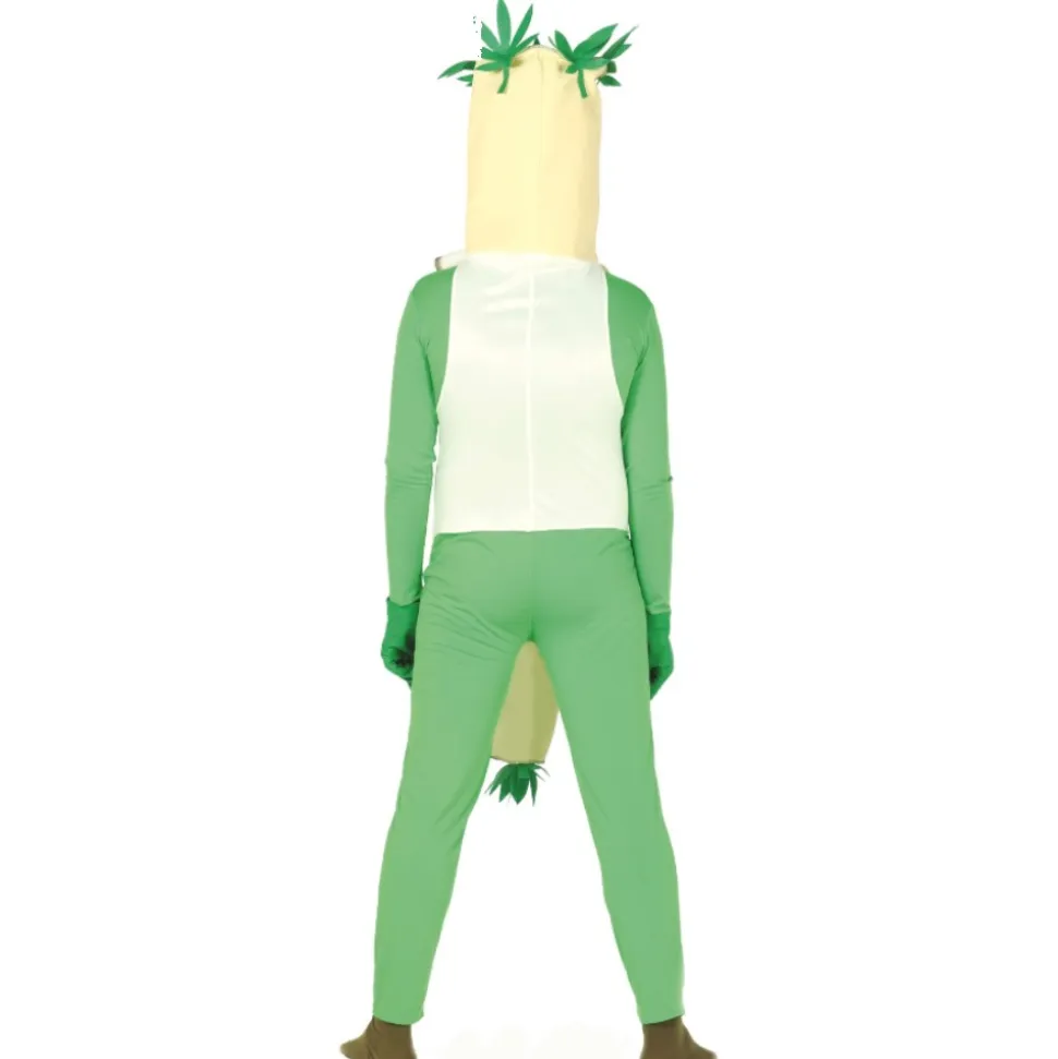 DÉGUISEMENT HUMORISTIQUE TARPÉ VERT ADULTE