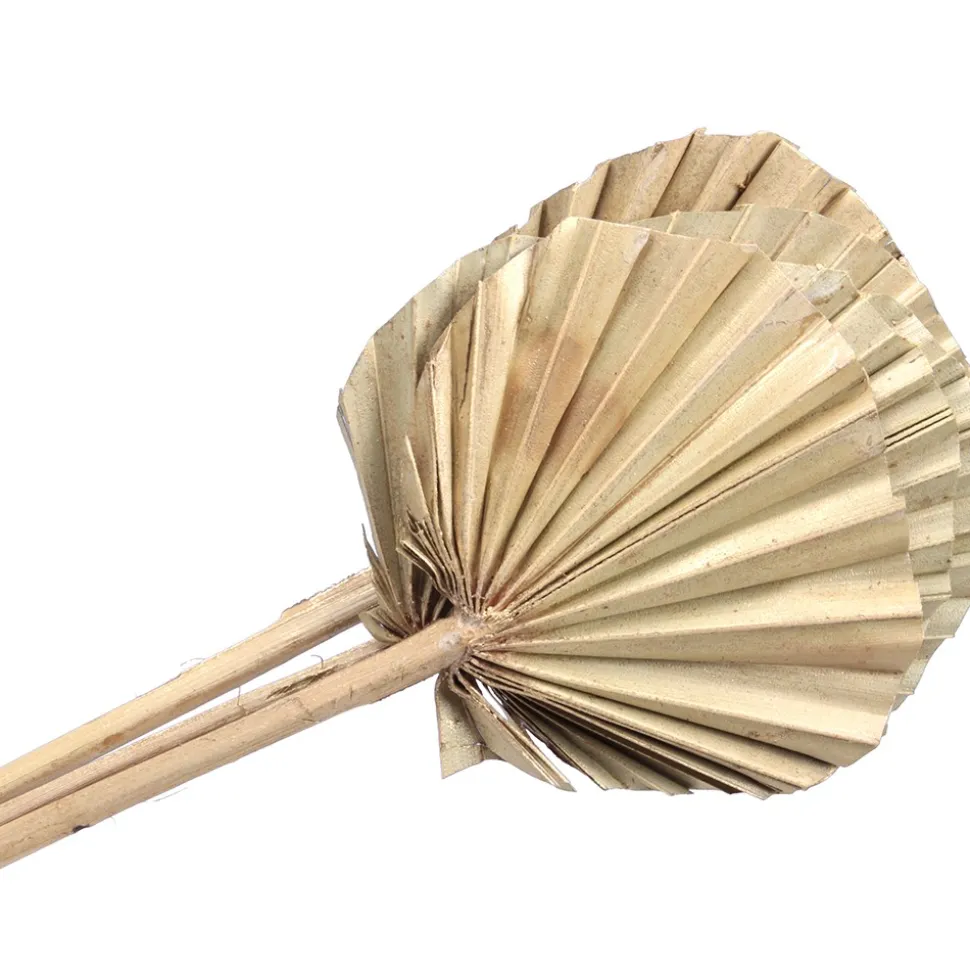 5 FEUILLES DE PALMIER ARRONDIES 45CM OR
