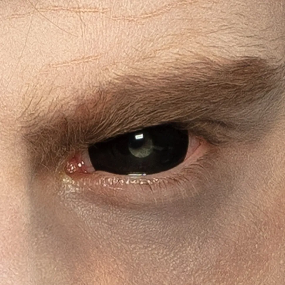 LENTILLES SEMESTRIELLES MORT-VIVANT - 53