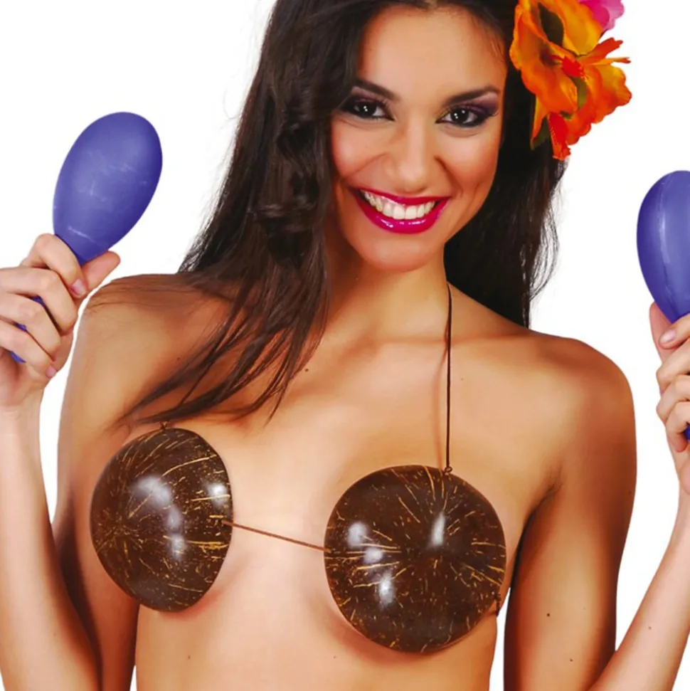PAIRE DE MARACAS PLASTIQUE COLORÉ 18CM