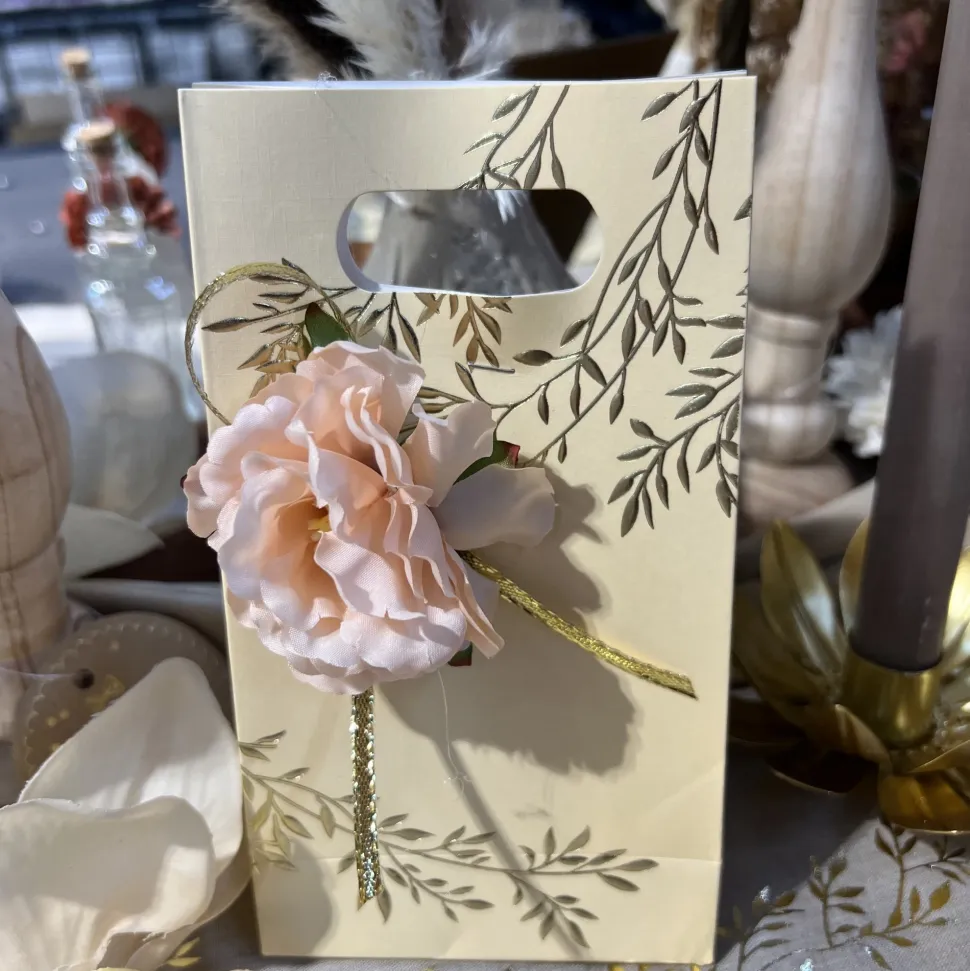 6 SACS GOODIES CARTON BELLA TERRA 10X18X5CM BLUSH