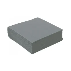 40 SERVIETTES COCKTAIL PAPIER 25CM GRIS ACIER