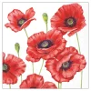 20 SERVIETTES PAPIER COQUELICOTS 33CM ROUGE