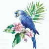 20 SERVIETTES PAPIER PARADISIA TROPICAL 33CM