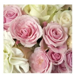 20 SERVIETTES PAPIER ROSIER MADISON 33CM ROSE