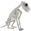 SQUELETTE CHIEN ASSIS DÉCORATIF 30X43CM BLANC