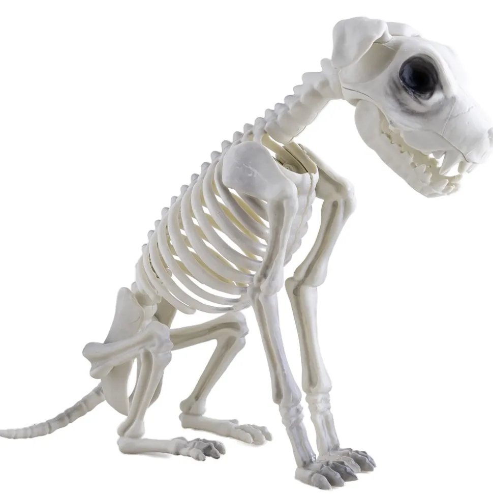 SQUELETTE CHIEN ASSIS DÉCORATIF 30X43CM BLANC