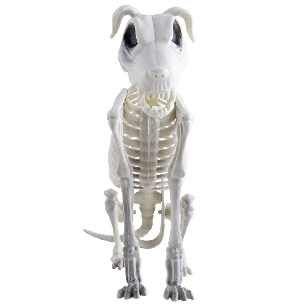 SQUELETTE CHIEN ASSIS DÉCORATIF 30X43CM BLANC