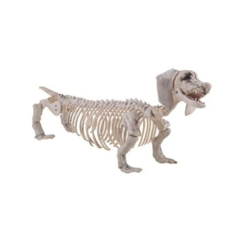 SQUELETTE DÉCORATIF CHIEN TECKEL PVC 56X13X22CM
