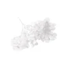 TIGE FLEURS SÉCHÉES 2G 10X5CM BLANC