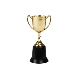 TROPHÉE COUPE DE 22CM OR